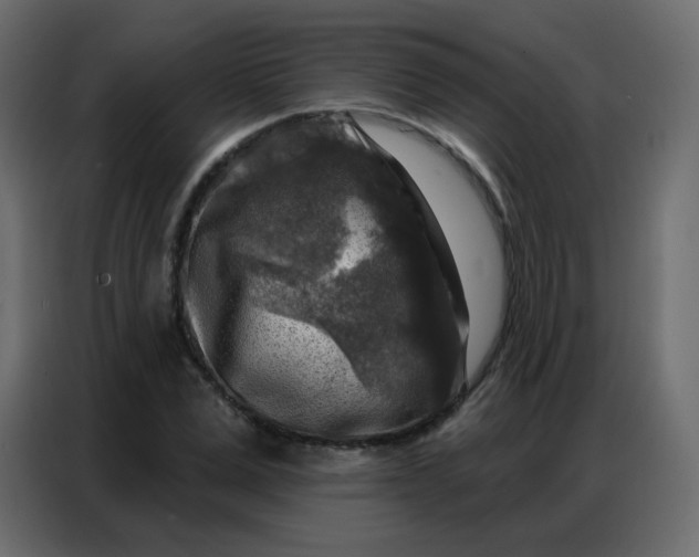 X0000086800975200705041605