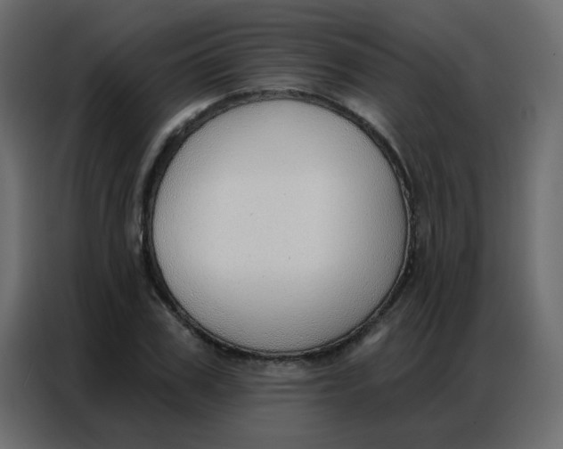 X0000086800979200705041605