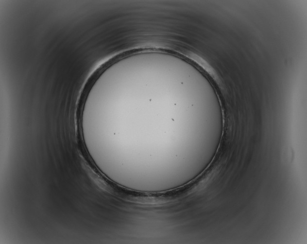 X0000086800980200705041605