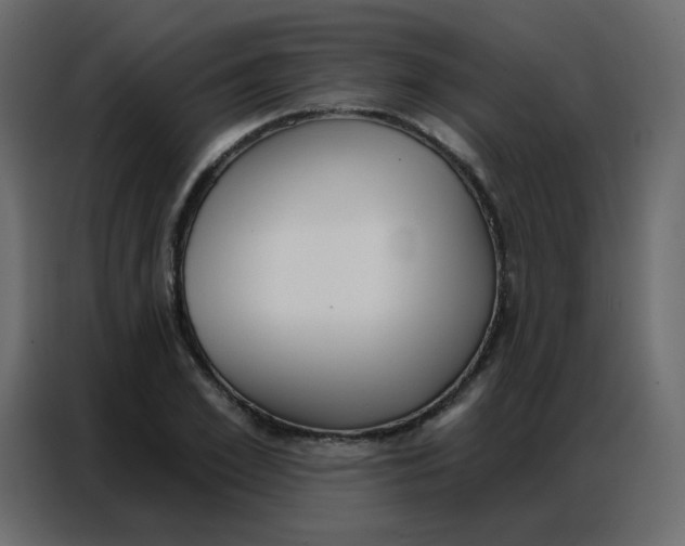 X0000086800981200705041605