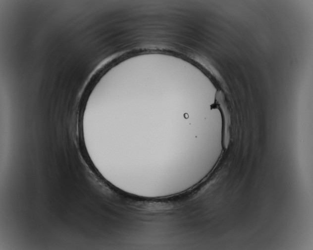 X0000086800984200705041605