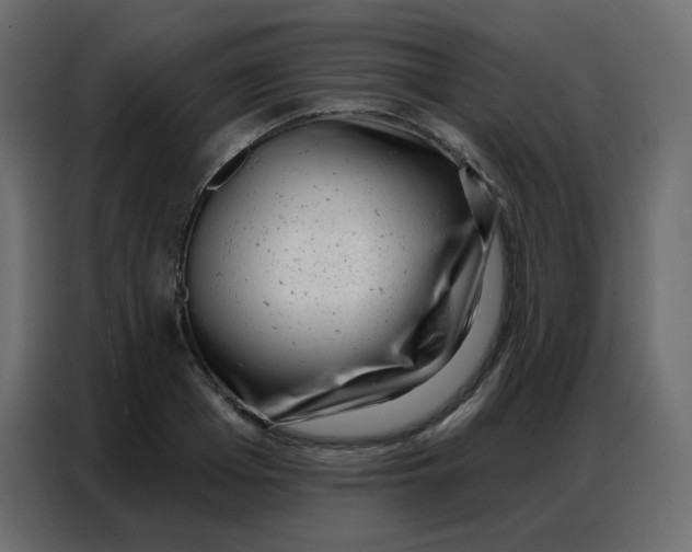 X0000086800985200705041605