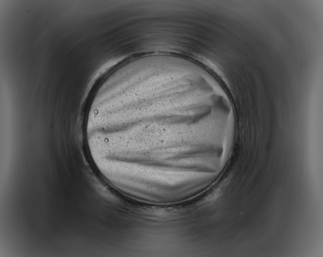 X0000086800987200705041605