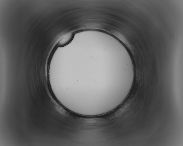 X0000086800988200705041605