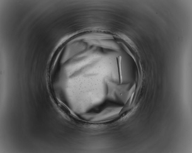 X0000086800989200705041605