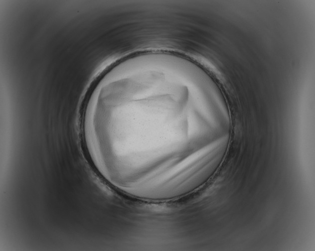 X0000086800990200705041605