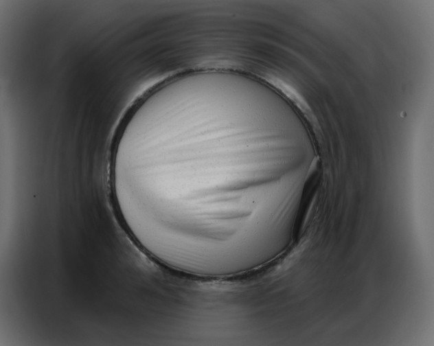 X0000086800992200705041605