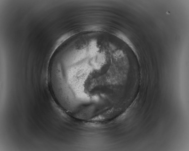 X0000086800994200705041605