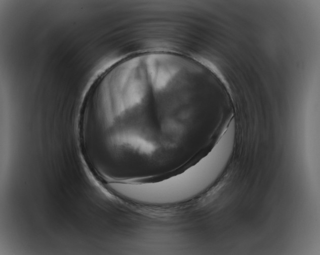 X0000086800995200705041604