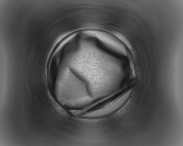 X0000086800996200705041604