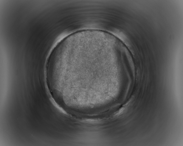 X0000086800998200705041604