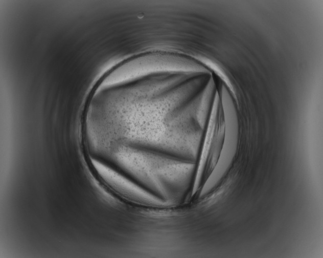 X0000086800999200705041604