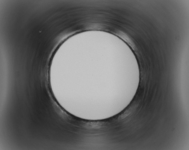 X0000086801000200705041604