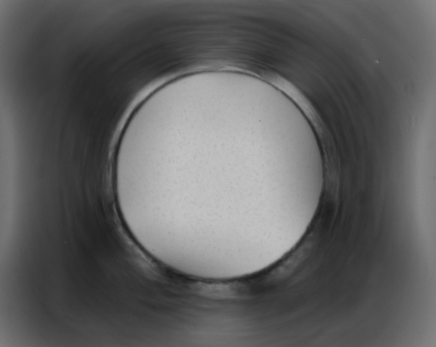 X0000086801004200705041604