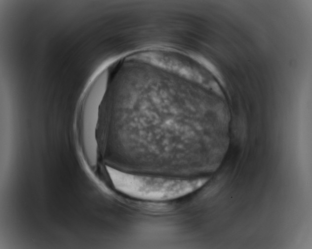 X0000086801007200705041604