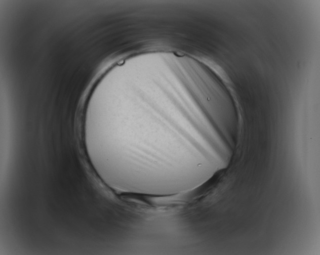 X0000086801008200705041604