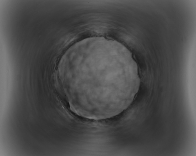 X0000086801009200705041604