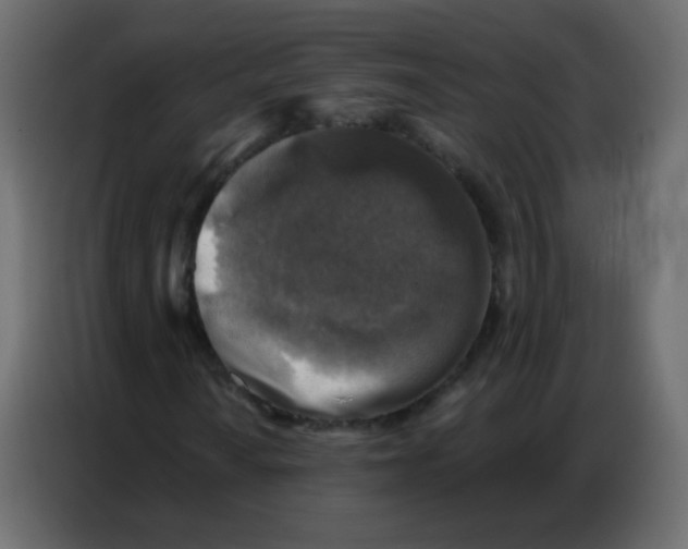 X0000086801010200705041604