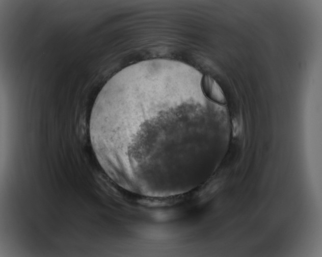 X0000086801011200705041604