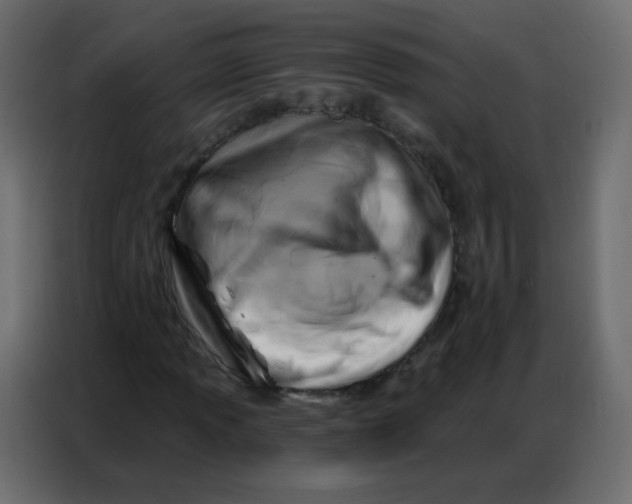 X0000086801013200705041604