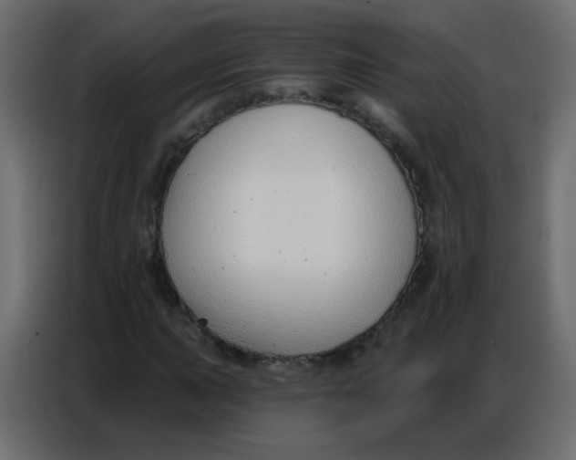 X0000086801015200705041604