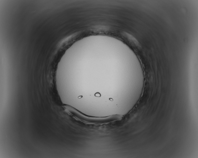 X0000086801016200705041604