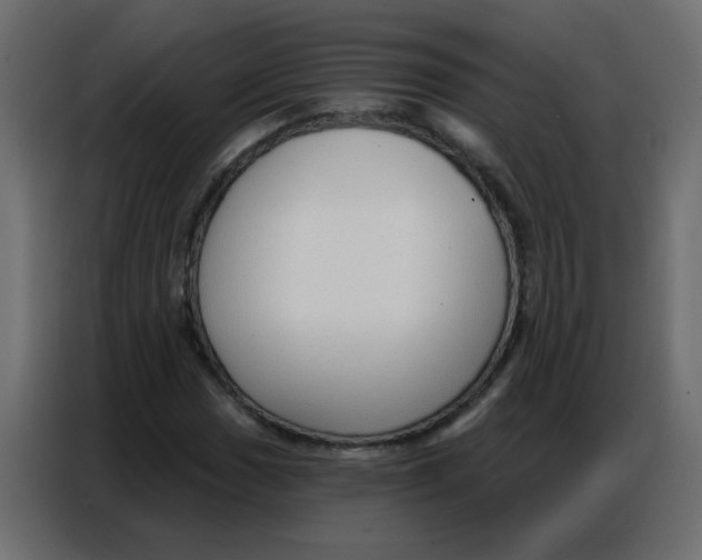 X0000086801017200705041604