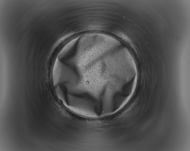 X0000086801019200705041604