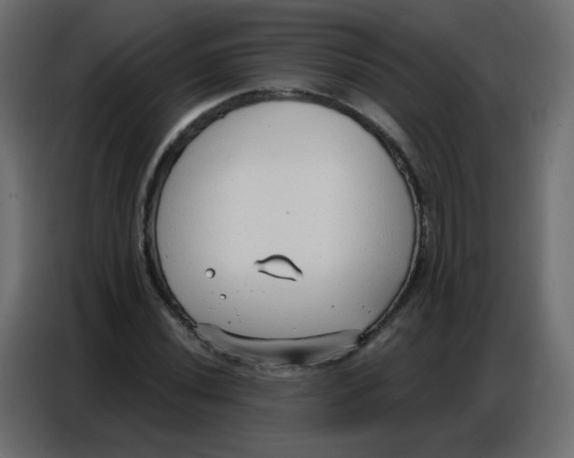 X0000086801020200705041604