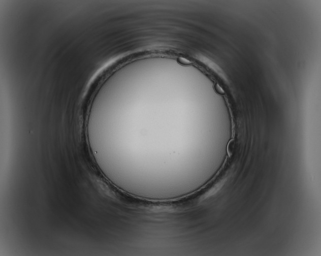 X0000086801021200705041604