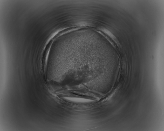 X0000086801023200705041604