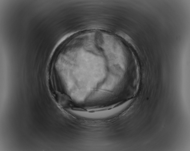 X0000086801024200705041604