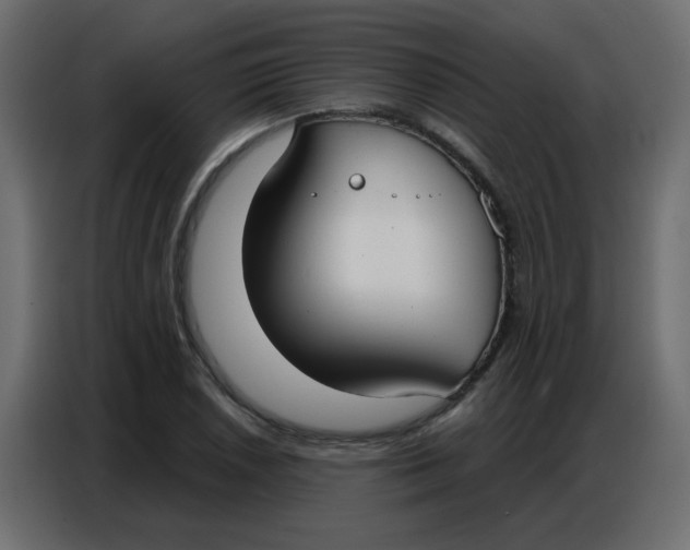 X0000086801026200705041604