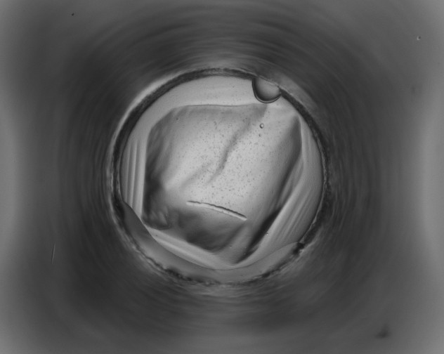 X0000086801028200705041604