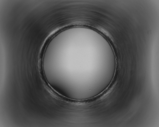 X0000086801029200705041604