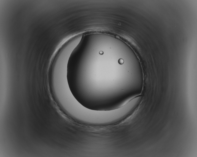 X0000086801030200705041604