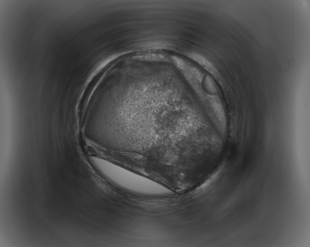 X0000086801031200705041604