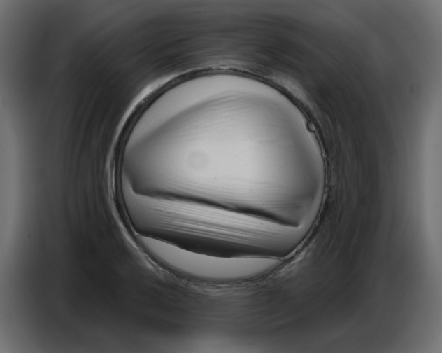 X0000086801032200705041604