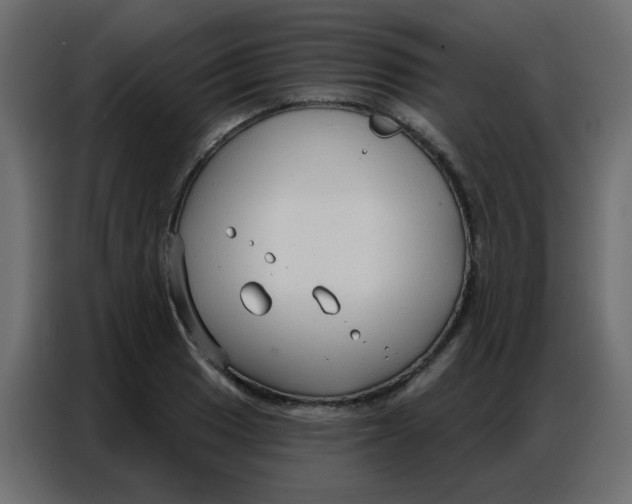 X0000086801033200705041604