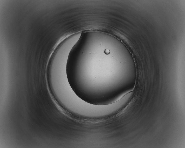 X0000086801034200705041604