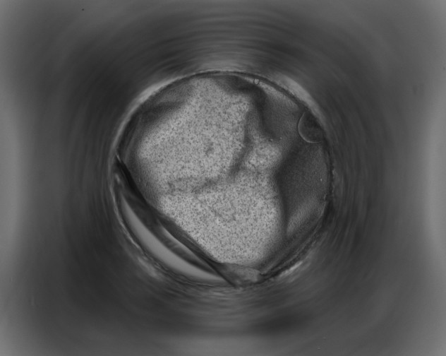 X0000086801035200705041604