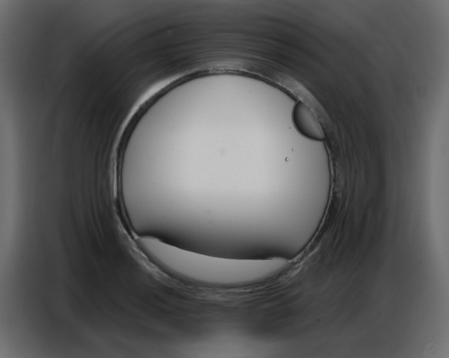 X0000086801036200705041604