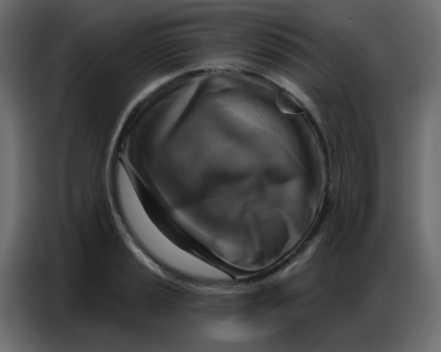 X0000086801037200705041604