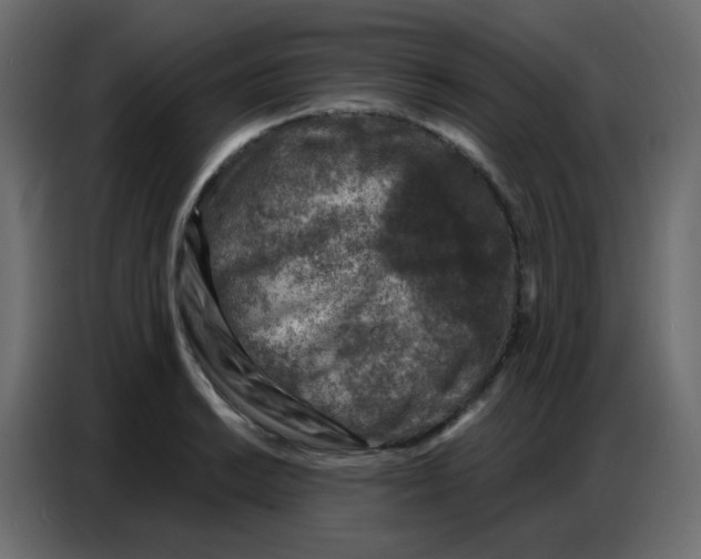 X0000086801038200705041604