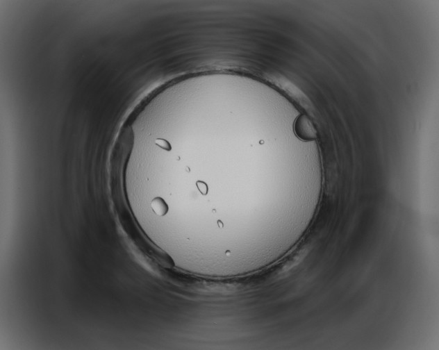 X0000086801039200705041604