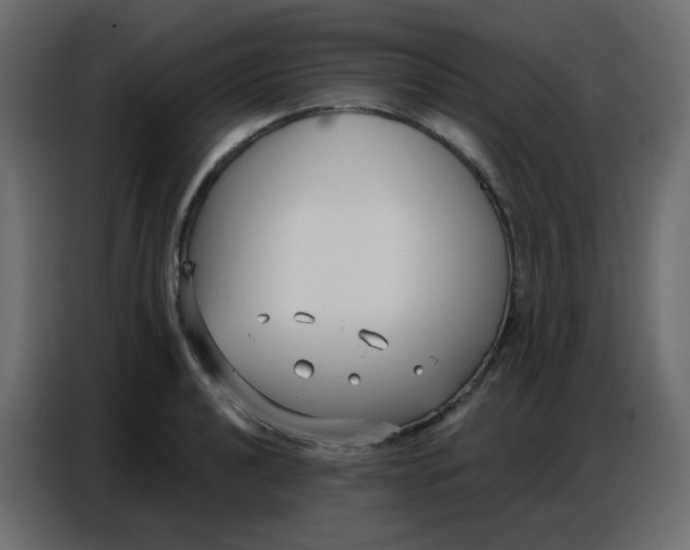 X0000086801040200705041604