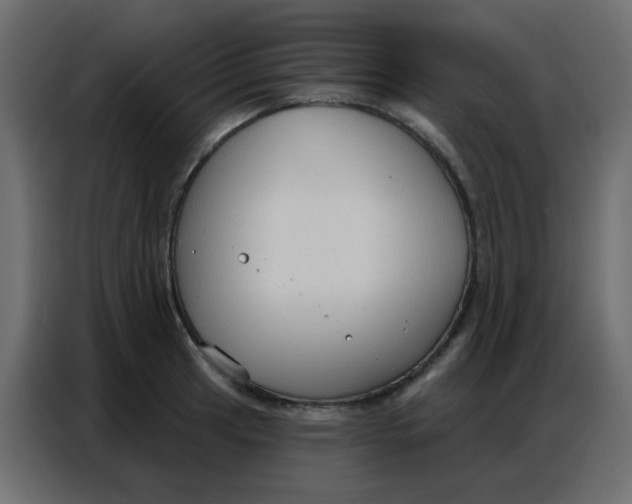 X0000086801041200705041604