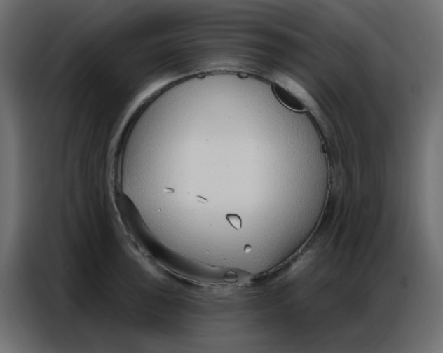 X0000086801043200705041604