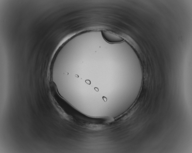 X0000086801044200705041604