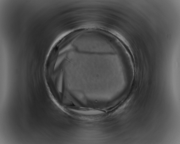 X0000086801045200705041604